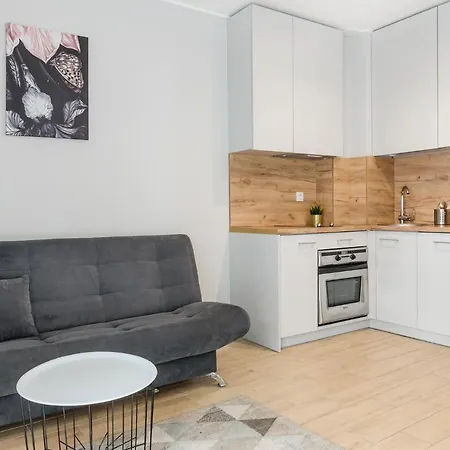 Goldaparts Centrum Lodž Exteriér fotografie